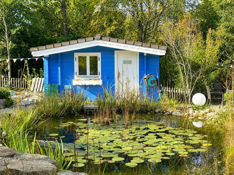 A small blue wooden house with a white door and window sits beside a pond filled with lily pads. The surrounding area includes lush greenery, a small wooden fence, and outdoor seating.