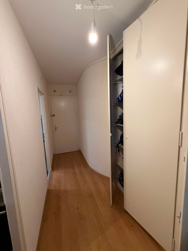 A narrow hallway with light wooden flooring, white walls, and a built-in closet on the right side. The hallway features a single hanging light fixture and a closed door at the end.