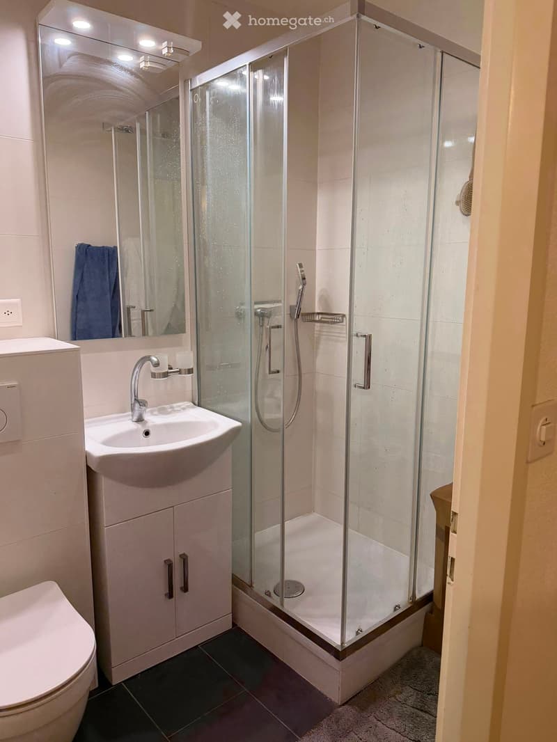 Modern bathroom with a white sink, chrome faucet, large mirror, glass-enclosed shower, and a toilet. The shower has a handheld sprayer and built-in shelves.