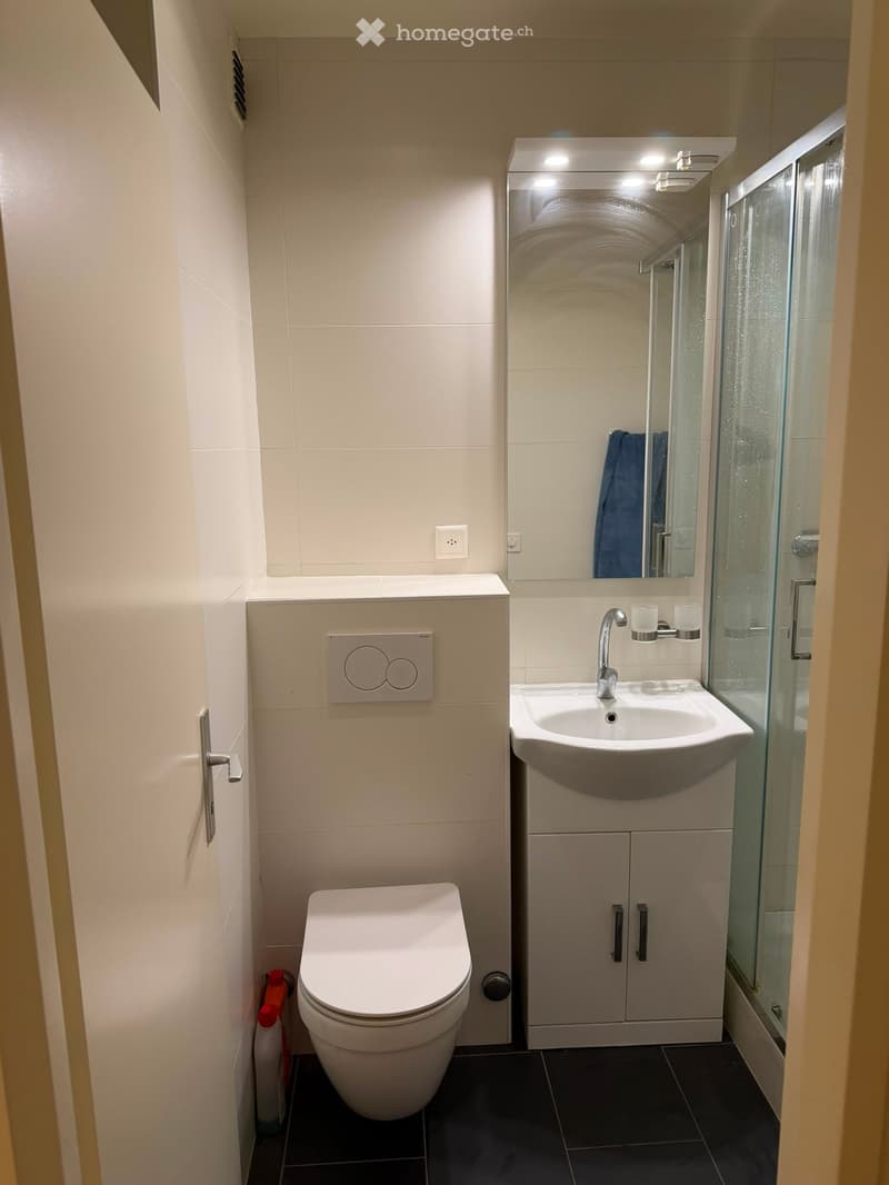 Modern compact bathroom with white tiles, a toilet, a sink with a mirror, and a glass-enclosed shower. Features a built-in cabinet under the sink and a sleek, contemporary design.