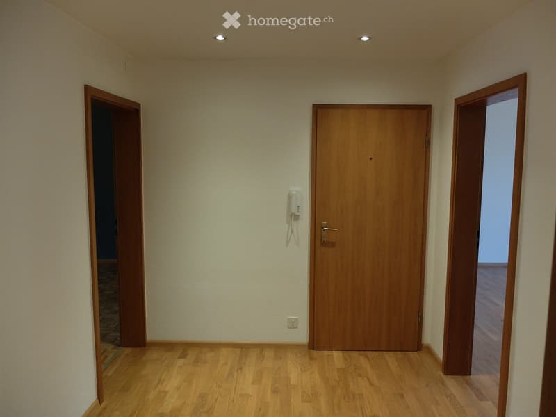 Unfurnished Room. Empty hallway with wooden flooring, three wooden doors, and recessed ceiling lights.