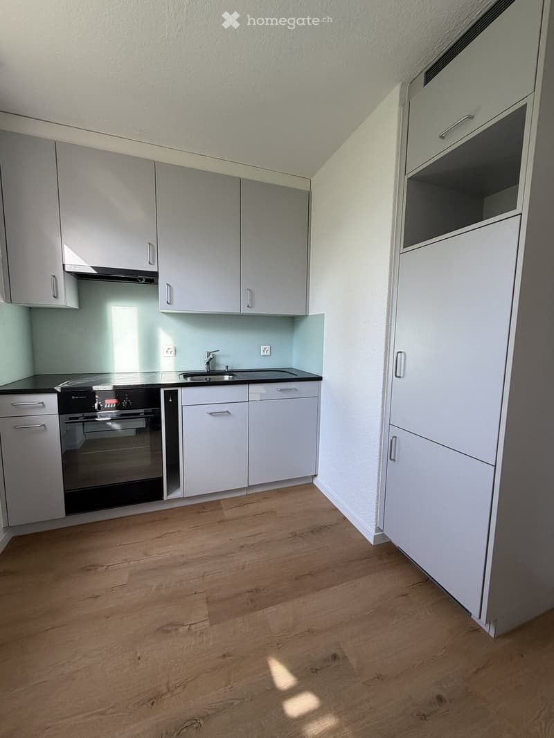 Modern kitchen with light grey cabinets, wooden flooring, and a black countertop featuring an oven and sink.