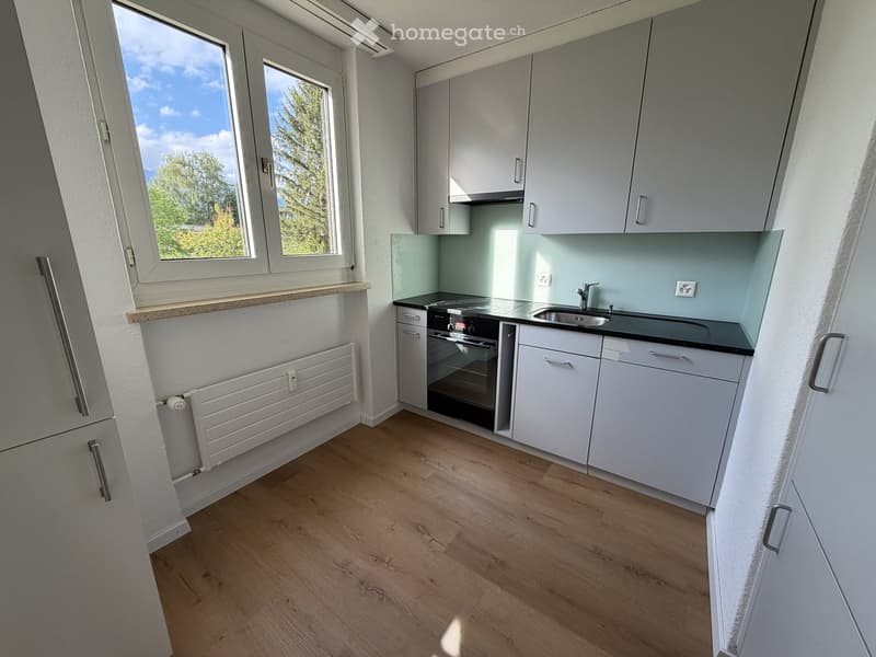 Modern kitchen with white cabinets, wooden flooring, and large windows offering a view of greenery outside.