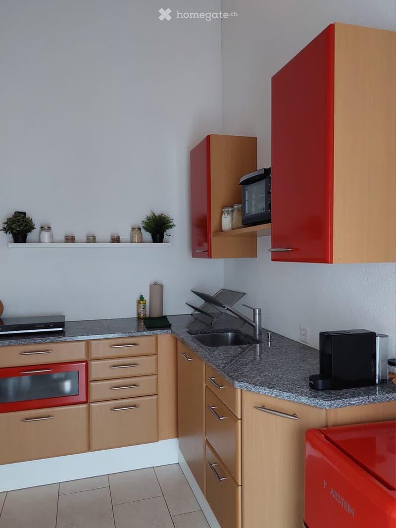 Marble countertop, stainless steel sink, wooden cabinets, red microwave, coffee maker, sink with faucet, potted plants on shelf, red refrigerator, granite flooring