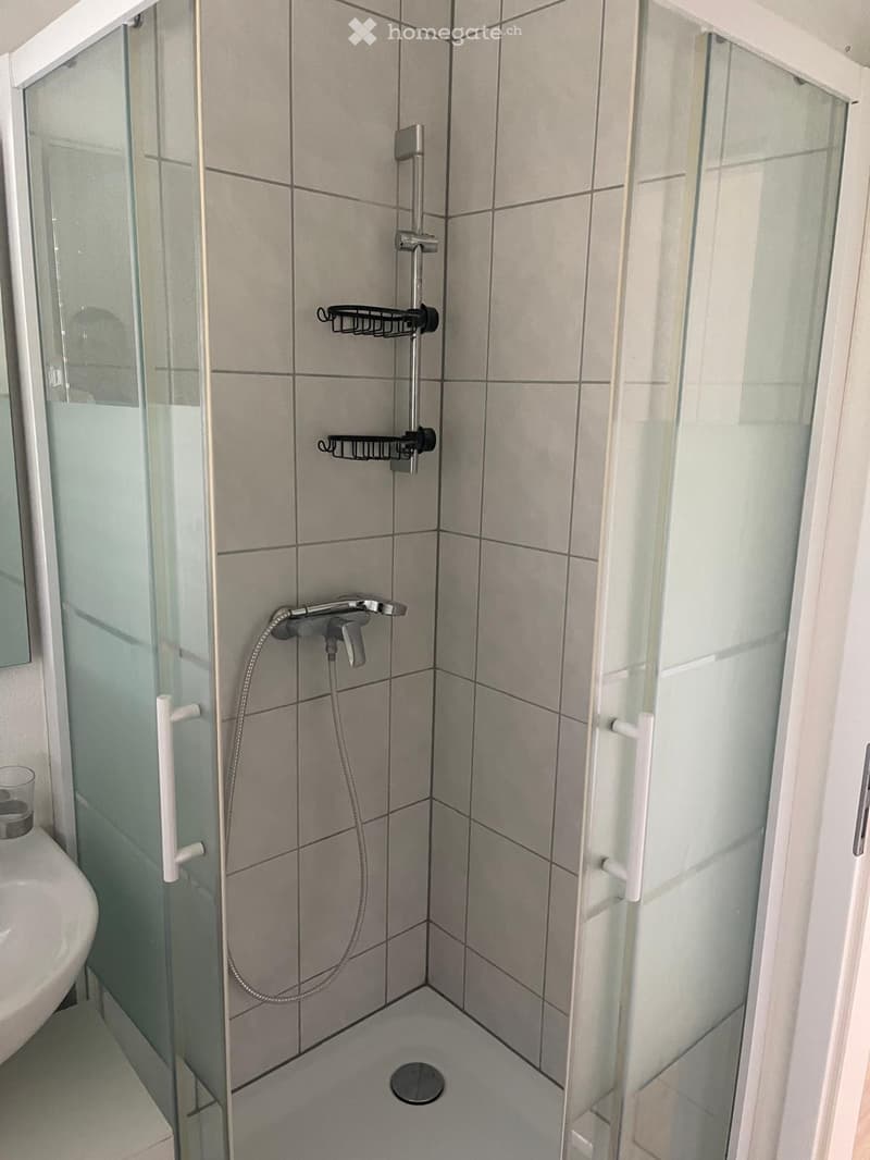 Gemütliche 3.5-Zimmer-Wohnung in Kleindöttingen – ab sofort verfügbar! (6)
