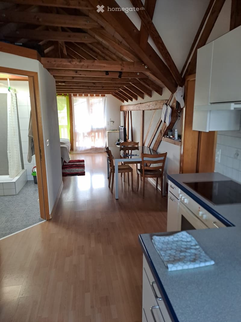 Open kitchen, dining area, bedroom