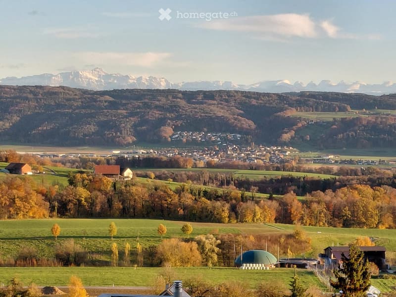 green fields, a few houses, mountain range, trees