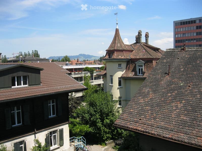 A view of several residential buildings with red-tiled roofs, chimneys, and a mix of architectural styles, surrounded by greenery and distant cityscape.
