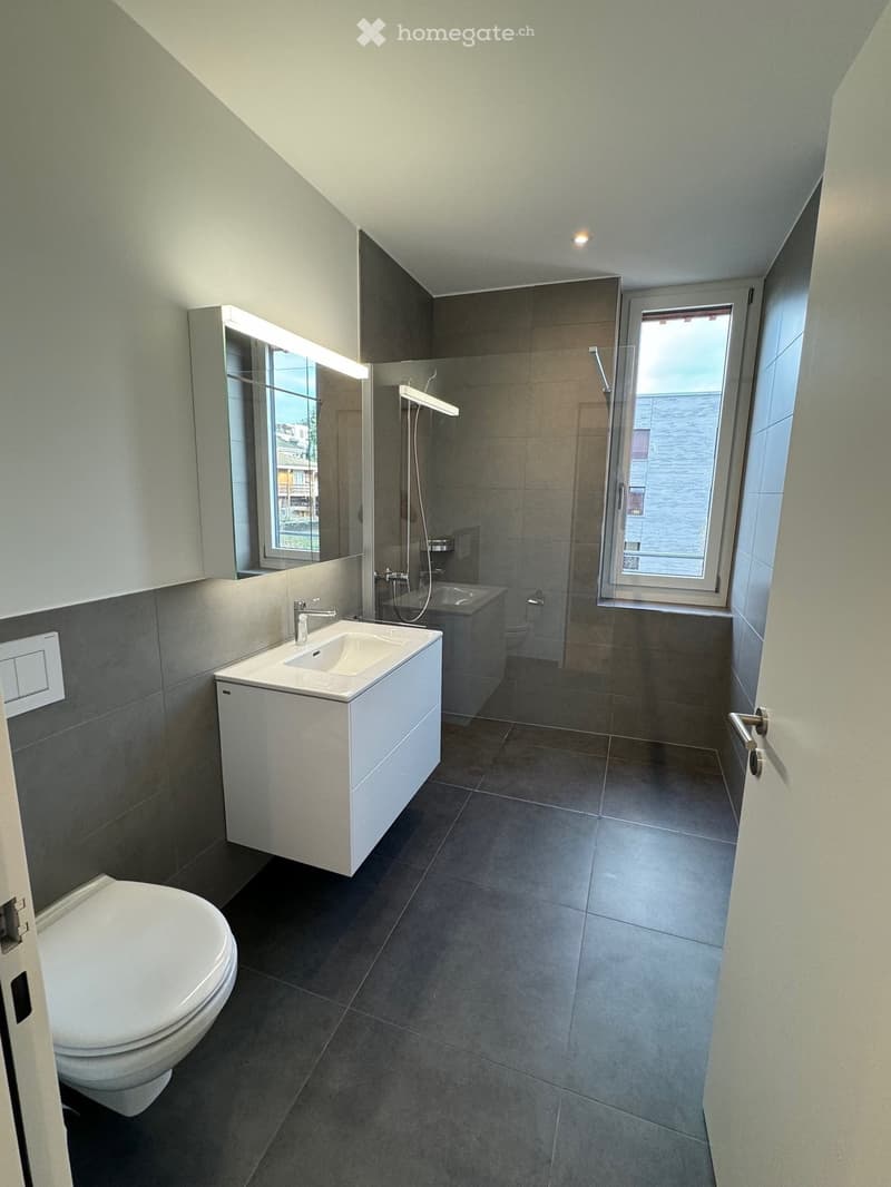 modern bathroom with white sink, mirror, toilet, shower, and gray tiles