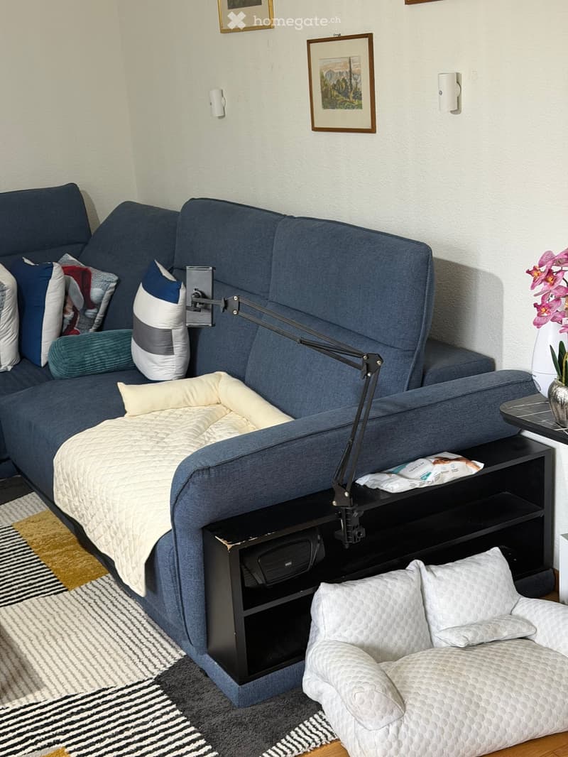A cozy living room with a blue sectional sofa, a small bed, a side table with a lamp, and a decorative flower vase on a shelf.