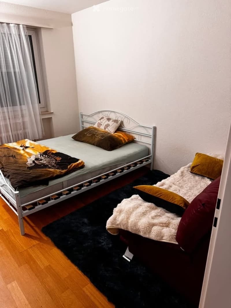 Cozy bedroom with a single bed, pillows, a blanket, and a fluffy rug on the floor.