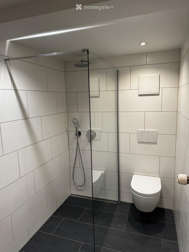 Modern bathroom with a glass-enclosed shower, a toilet, and sleek fixtures.