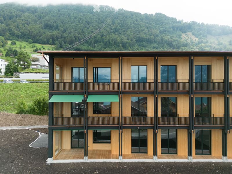 Moderne 4.5-Zimmer-Wohnung mit atemberaubendem See- und Bergblick in Weggis (5)