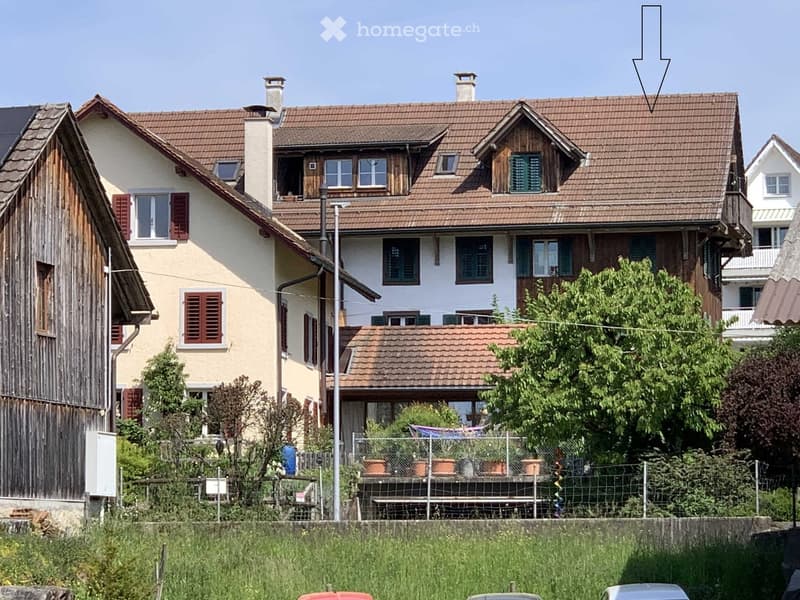 A two-story house with a tiled roof, multiple chimneys, and several windows with shutters. The house has a mix of white and wooden exterior walls. There is a fenced garden area with potted plants in front of the house.
