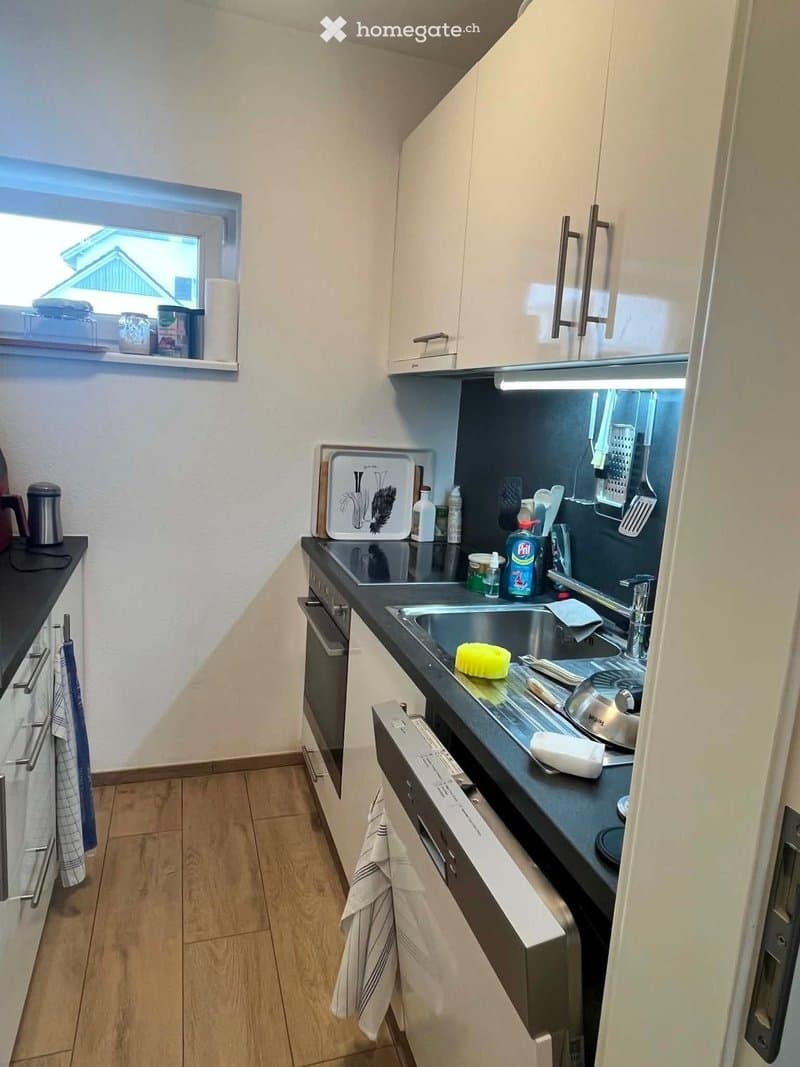 Modern kitchen with light-colored cabinets, stainless steel appliances, and a black countertop. Features a sink, oven, dishwasher, and various kitchen items on the counter.
