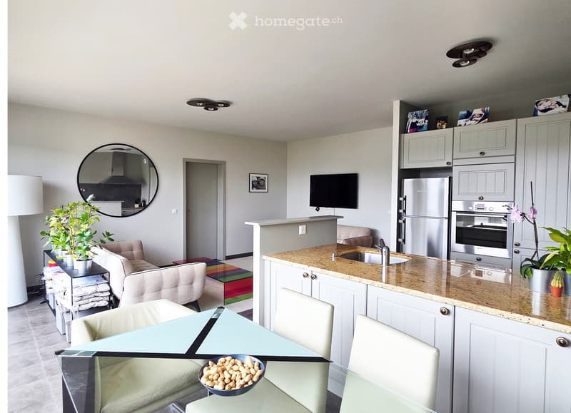 Open-plan living and kitchen area with modern white cabinets, granite countertops, stainless steel appliances, a sofa, dining table, and decorative plants.