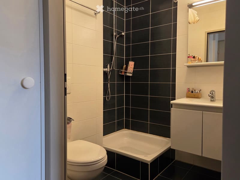 Modern bathroom with black and white tiles, a toilet, a bathtub, a sink with a mirror, and a shower area.