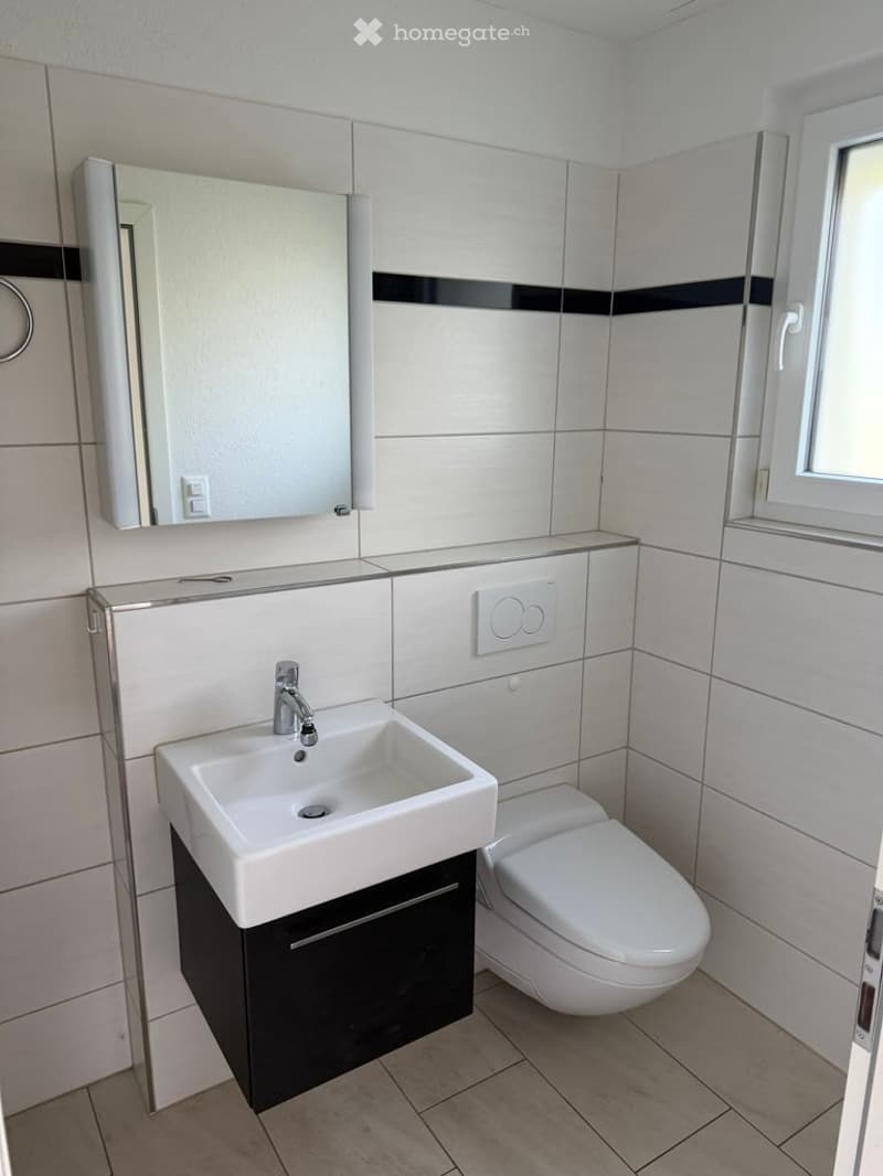 Modern bathroom with white tiles, a white sink with a chrome faucet, a black cabinet, a white toilet, and a large mirror above the sink.