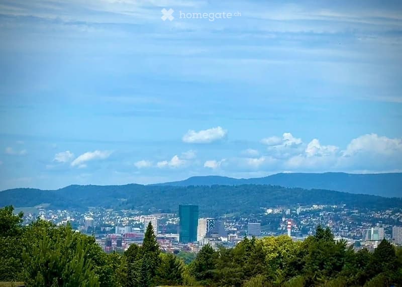 Panoramic view of a cityscape with buildings, trees, and distant hills under a partly cloudy sky.