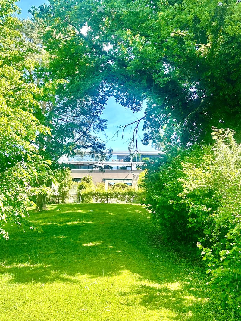 A lush, green garden with a well-maintained lawn, surrounded by tall trees and shrubs, leading to a modern house in the background.