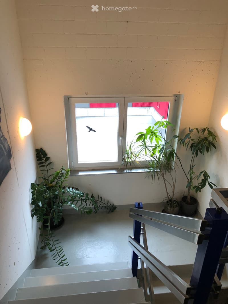 A narrow hallway with white brick walls, a window with potted plants, and a staircase leading upwards.