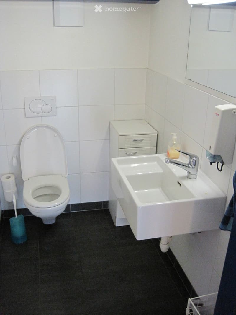 Modern bathroom with white tiles, a toilet, a sink with a faucet, a mirror, and a soap dispenser. Toilet paper and a toothbrush holder are visible.