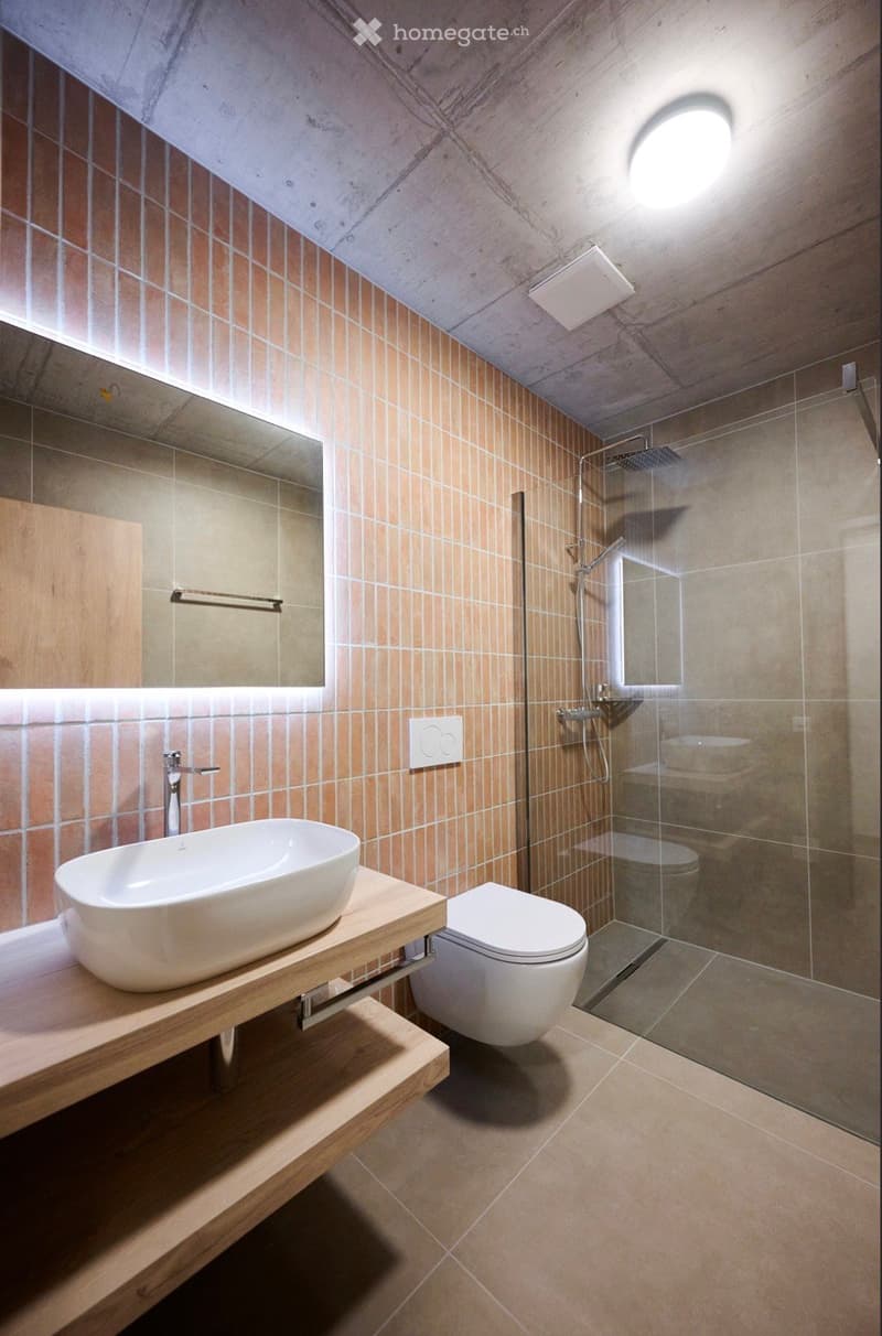 Modern bathroom with a sleek wooden vanity, a large sink, a toilet, and a glass-enclosed shower area. The walls are tiled in warm tones, and the space features built-in lighting and a stylish mirror.
