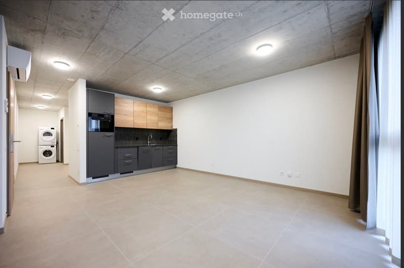 Modern, minimalist kitchen area with built-in cabinets, stainless steel appliances, and a private washing machine. The space features a clean, contemporary design with neutral tones and recessed lighting.