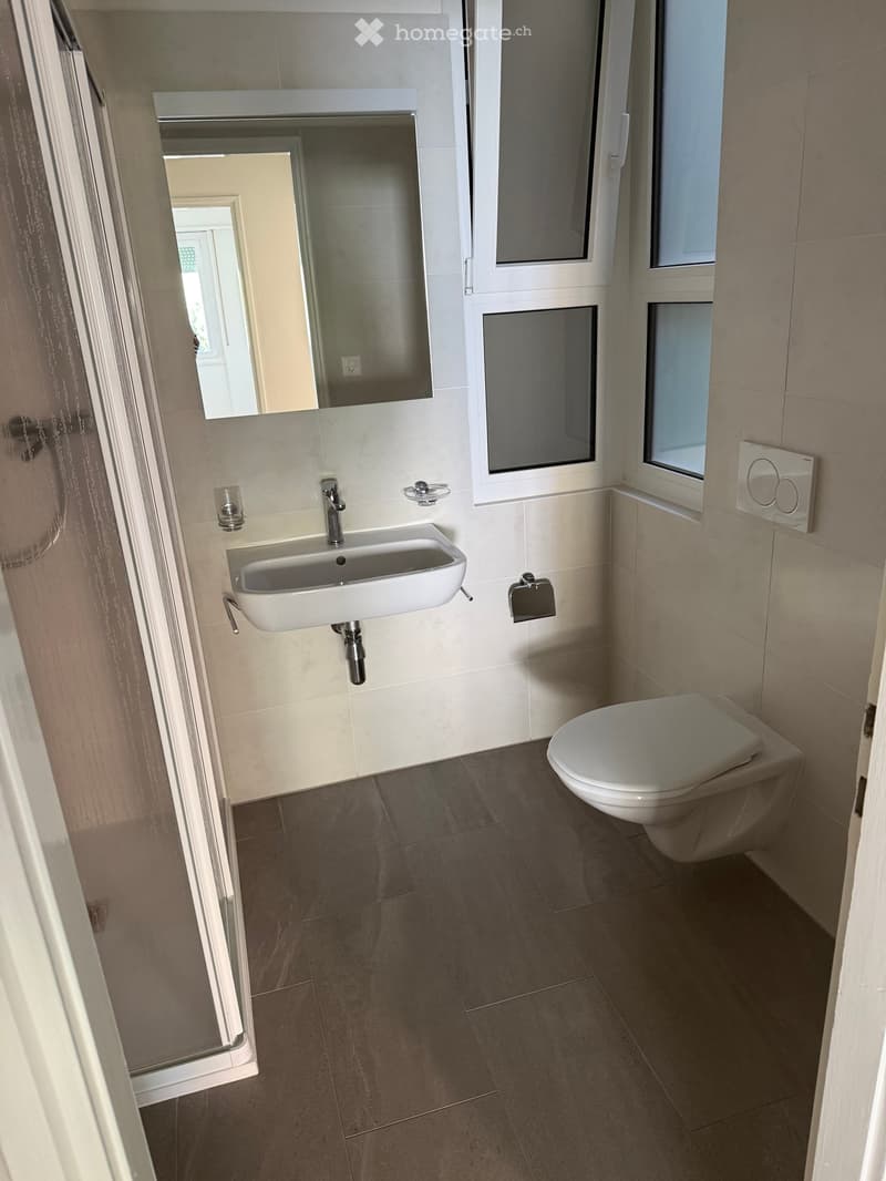 Modern bathroom with a white sink, chrome faucet, toilet, and a large mirror above the sink. The walls are tiled in beige and the floor is covered with dark brown tiles.