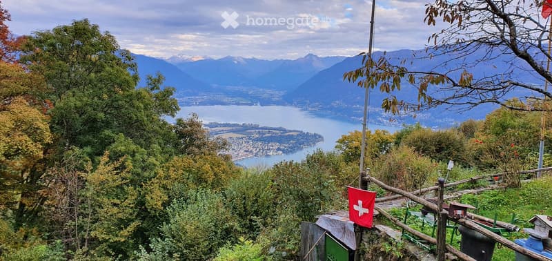 Panoramic view of a lake and mountains from a hillside, with trees and a small wooden fence in the foreground.