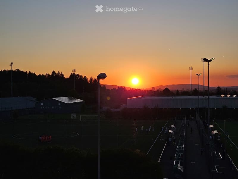 Garden / Outdoor Area. A sports field with a pathway leading to a building, surrounded by trees and illuminated by streetlights during sunset.
