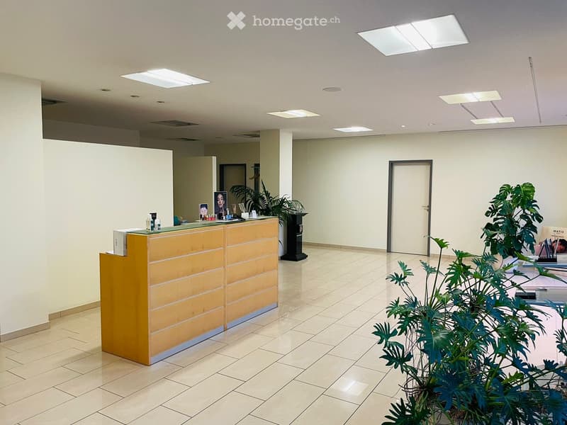 Modern reception area with a wooden reception desk, a large potted plant, and a screen displaying an image.