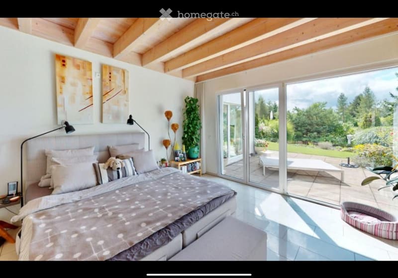 King size bed, pillows, dog bed, open terrace, sliding doors, plants, wooden beams, landscape view