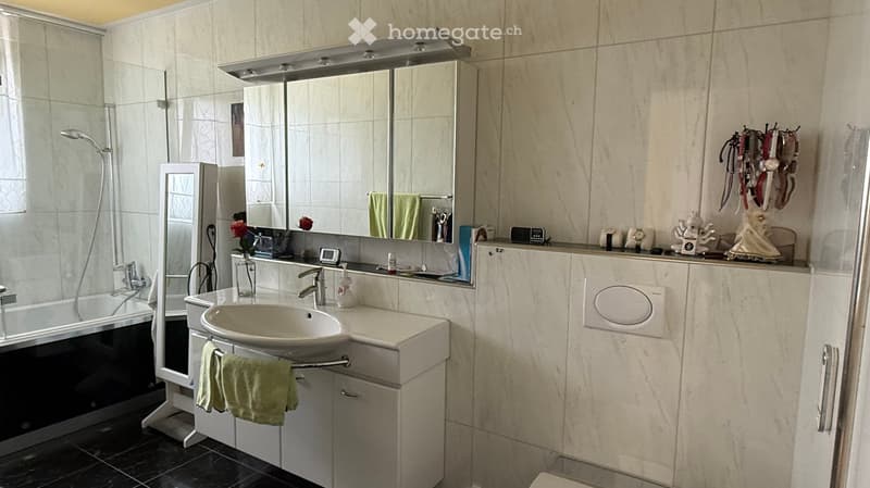 Modern bathroom with a white sink, large mirror, bathtub, and various decorative items on the counter.