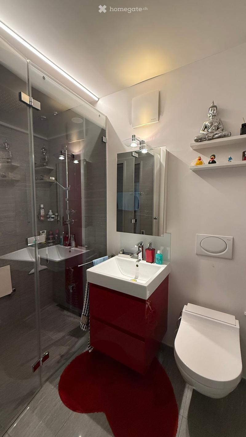Modern bathroom with a white sink, red cabinet, toilet, glass shower enclosure, and decorative shelves.