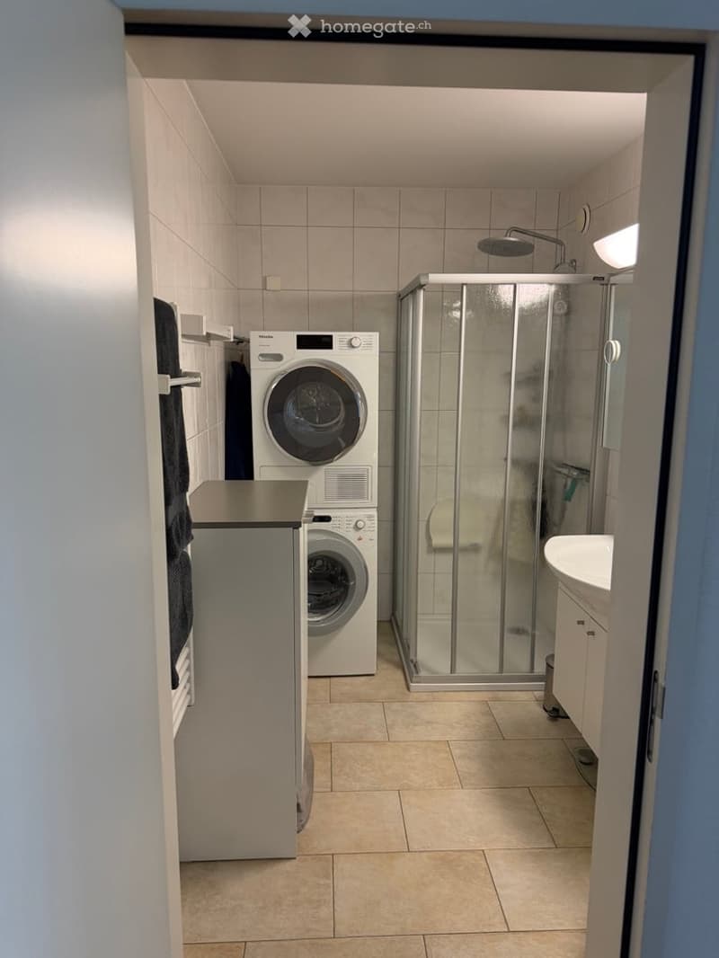 Modern bathroom with a washing machine, glass-enclosed shower, sink, and cabinet.