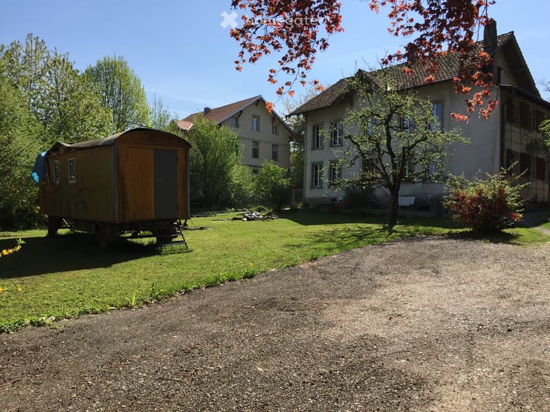 A well-maintained garden with a wooden shed, a large house, and a tree with red leaves. The area includes a gravel pathway and a grassy lawn.