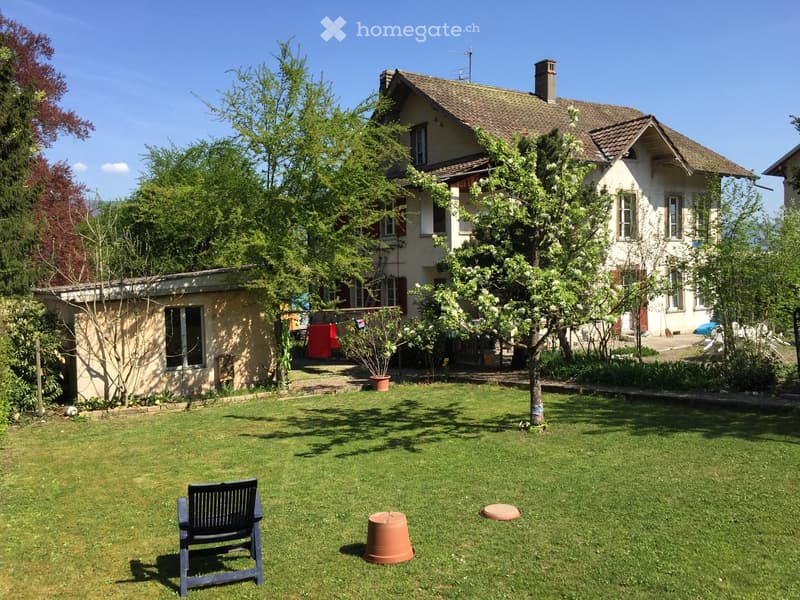 Lawn with a bench, a tree, and a house in the background.