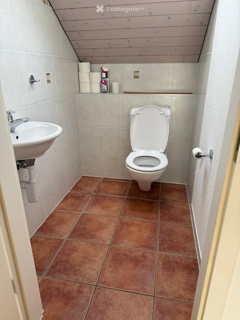 small bathroom, white sink, toilet, toilet paper, shelves with toilet paper and bottle