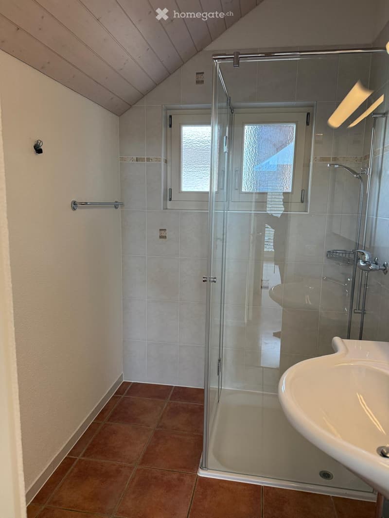 Bathroom with a glass-enclosed shower stall, a white sink, and tiled walls and floor. The shower has a modern design with a handheld showerhead and a built-in seat.