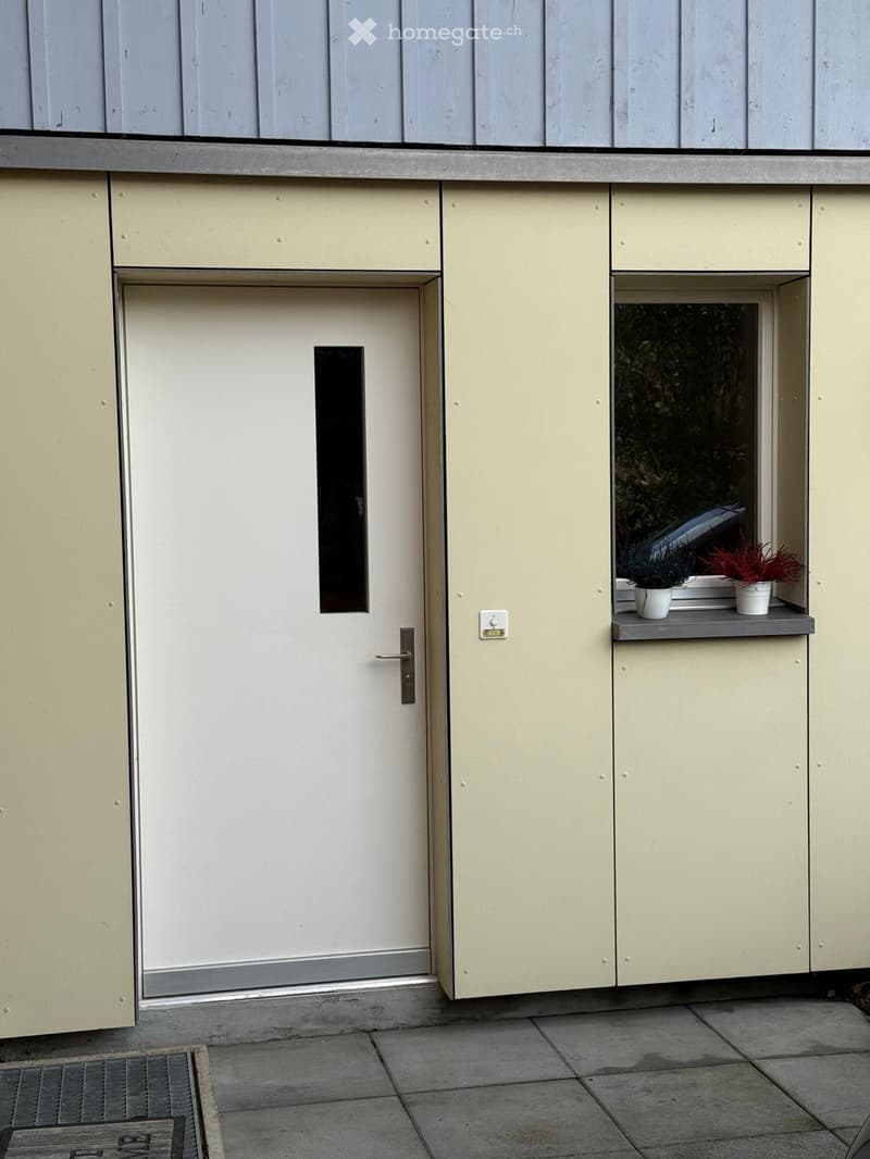exterior front door, yellow wall, window with plants, metal panel wall, door entrance