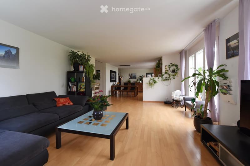 Bright living room with wooden flooring, large windows, and modern furniture including a dark blue sofa, glass coffee table, TV stand, and baby stroller. The space is decorated with plants and artwork.