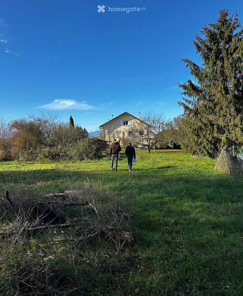 A grassy field with a house in the background, two people walking, and trees scattered around.