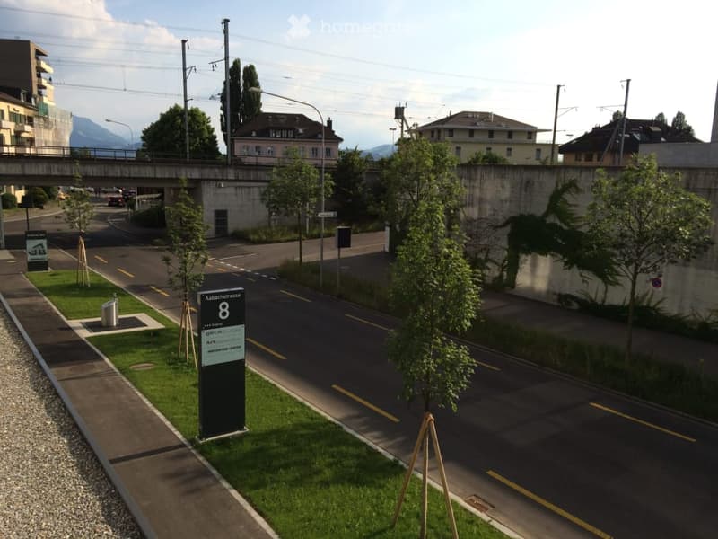A street scene with a sidewalk, a road, a pedestrian lane, a bridge, street lights, sign, grass, trees, and buildings.