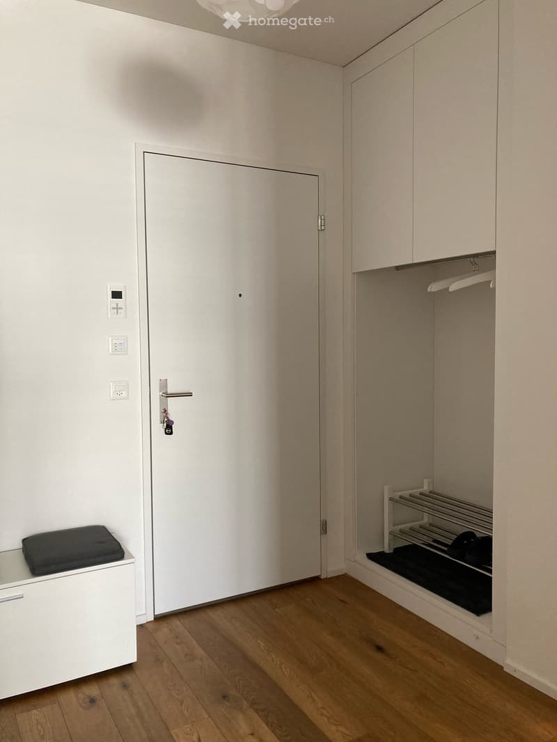 Closed door, white wall, wood floor, storage boxes, hanging clothes