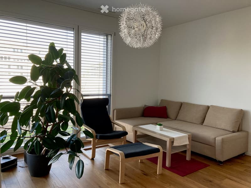 Open living area with a couch, armchair, coffee table, carpet, and a plant. Light pendant and blinds on the window.