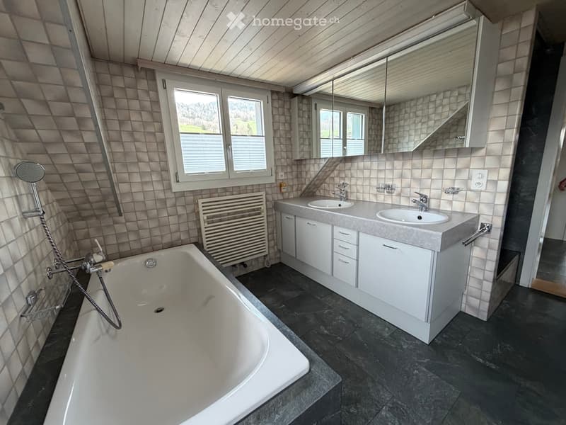 5,5 Zi. Dachwohnung in Steinen (15)