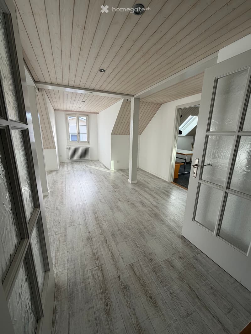 5,5 Zi. Dachwohnung in Steinen (3)