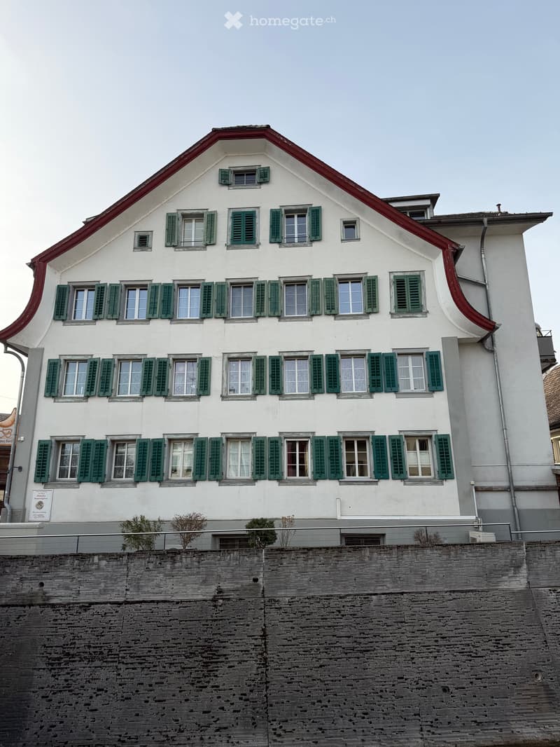 5,5 Zi. Dachwohnung in Steinen (23)