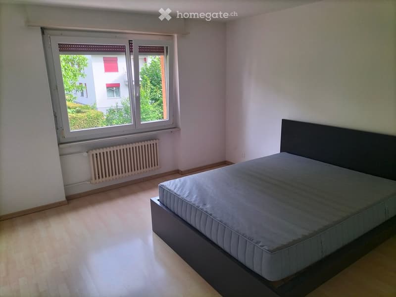 Bedroom with a single bed, light wooden flooring, and large windows with blinds. The room has white walls and a radiator under the window.